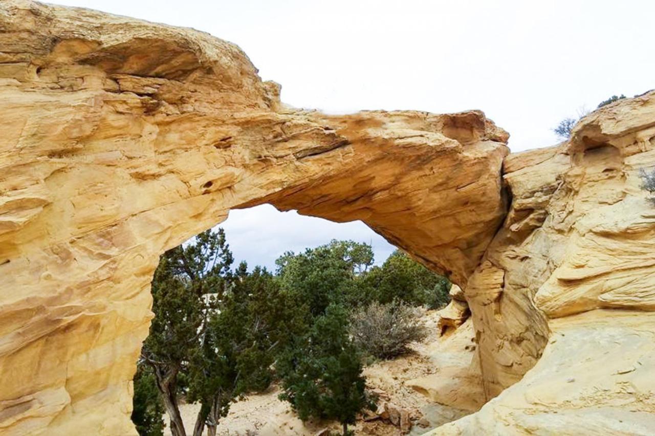 Red Cliff 5B Appartement Moab Buitenkant foto